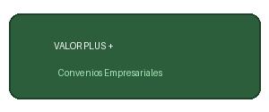 logo valor plus ch